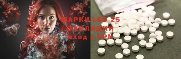 прущие грибы Алексеевка