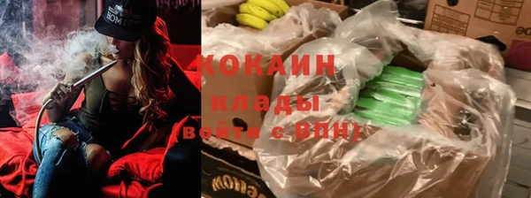 гидра Алексин